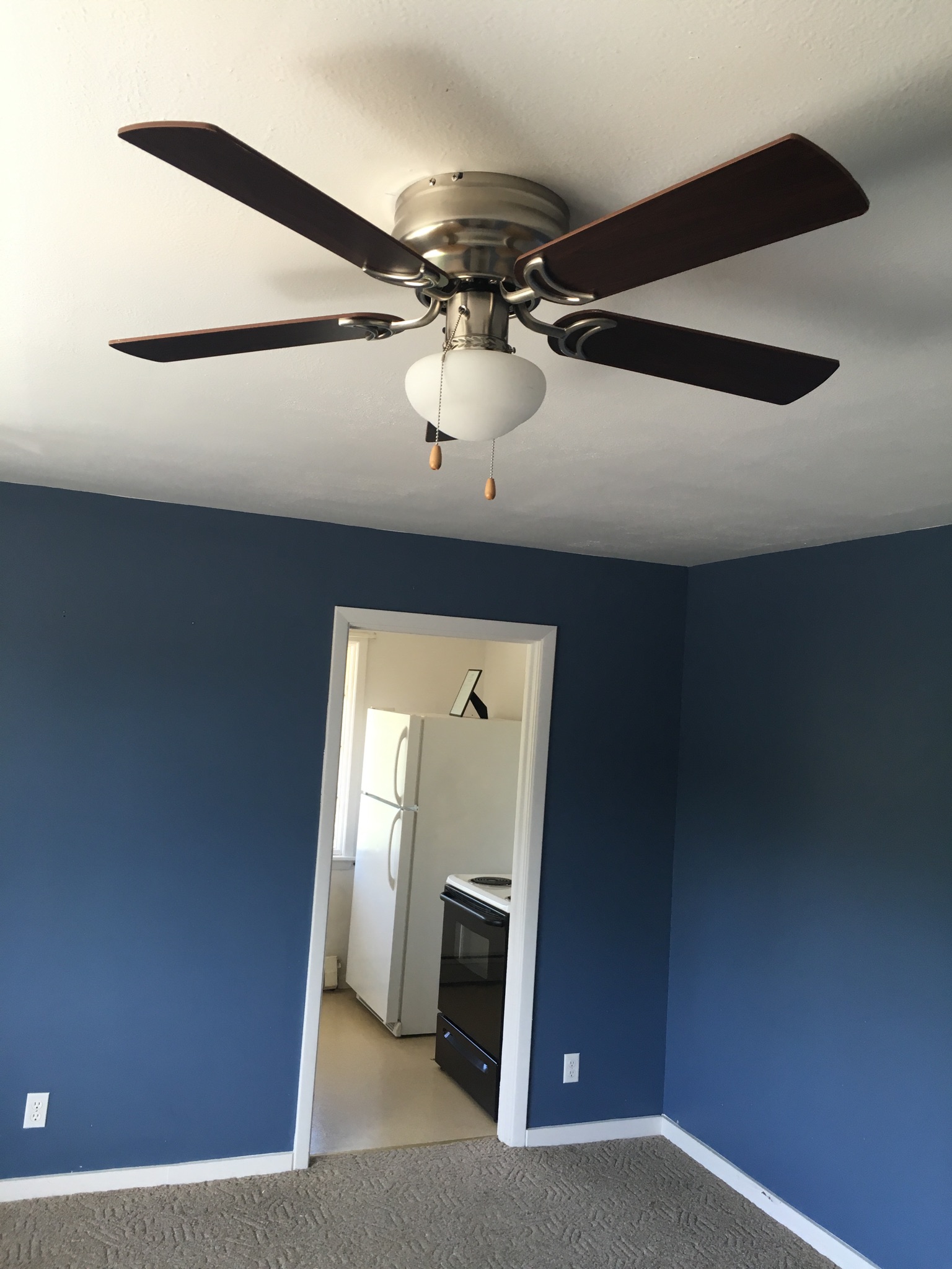 SerD-E Ceiling Fan and Kitchen.jpg
